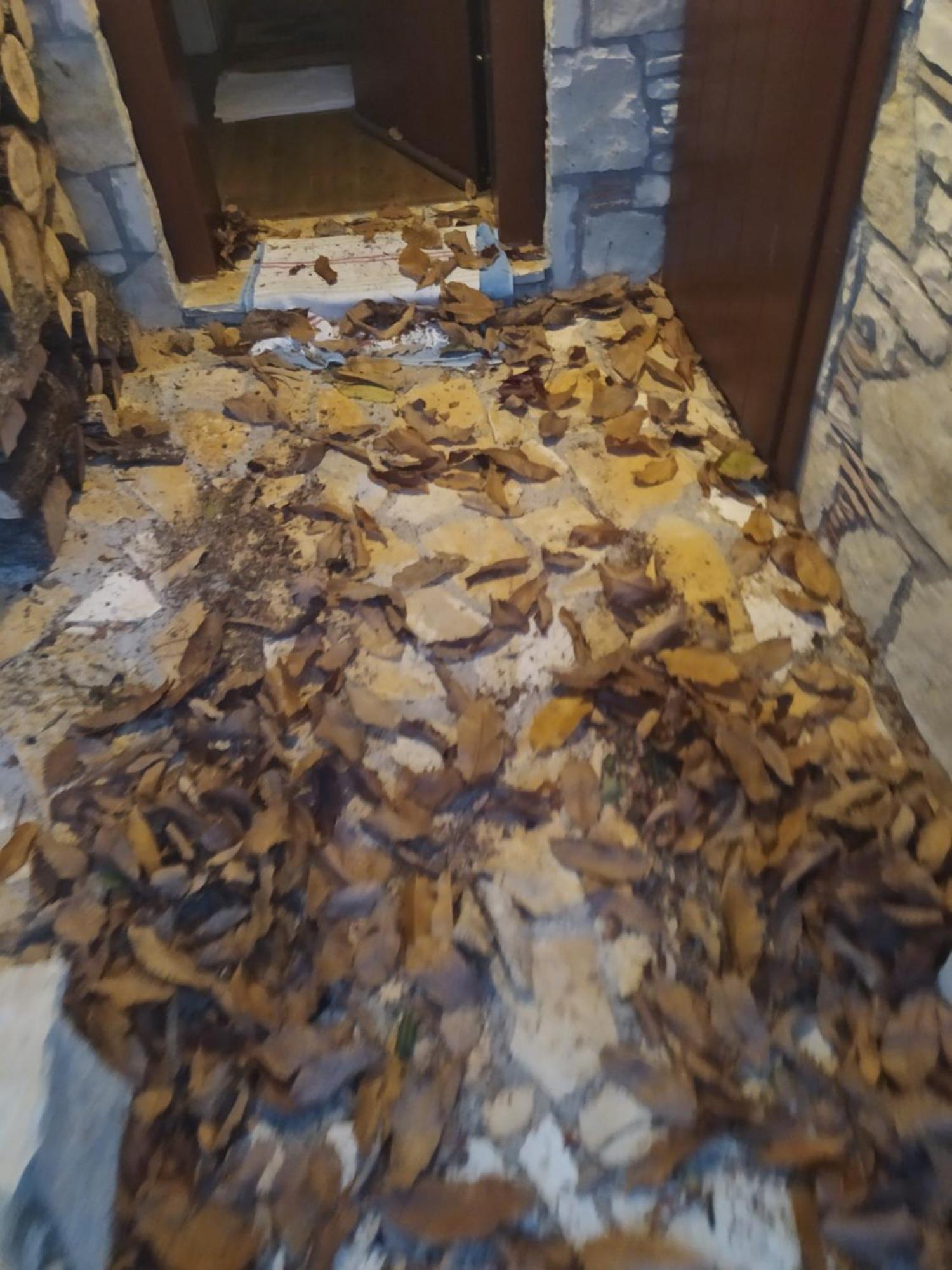 Guesthouse Petrino Pezoúla 外观 照片